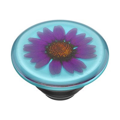 Pressed Flower Purple Daisy — PopTop